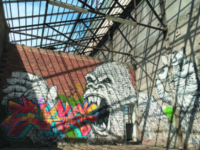 Street art e writing nelle ex Officine Meccaniche Reggiane (© Foto Reggiane urbangallery.it)