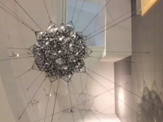 (© Arianna Panarella)