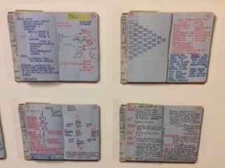 (© Arianna Panarella)