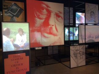 (© Arianna Panarella)