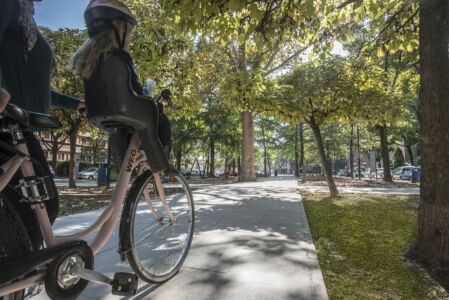 Piazzale Maestri (Parma). Dettaglio della pista ciclabile