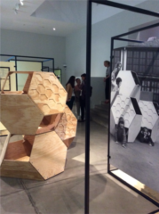 (© Arianna Panarella)