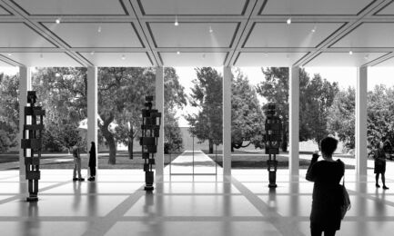 Vista del giardino dallo spazio interno