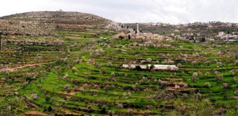Historic Center Rehabilitation. Vista del villaggio di Abwein