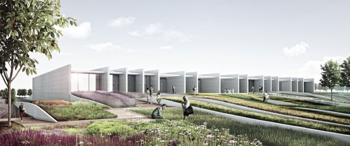 Marilena Magalotti, progetto di concorso nuova sede Orogel a Cesena