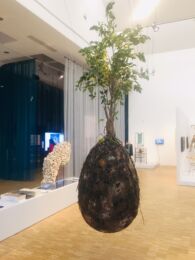 Allestimenti: flop n.6 (foto Michele Roda)