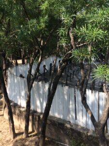 Nek Chand, giardino delle pietre a Chandigarh (India) - foto Luca Bullaro