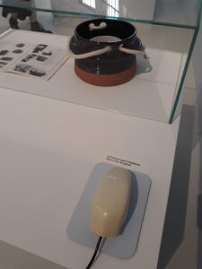 (foto di Alessandro Colombo)