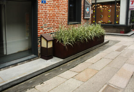 Yong Qing Fang (© Francesco Carota)