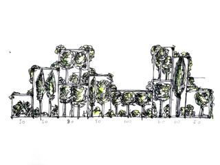 Stefano Mancuso, Disegni preparatori per ecosistemi confinati, 2019