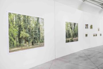 Mostra "Verde Prato" al Centro Pecci (© OKNOstudio)