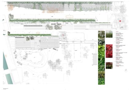 Centro Diurno per Alzheimer a Castelfranco Veneto (Tv): schema esecutivo del verde