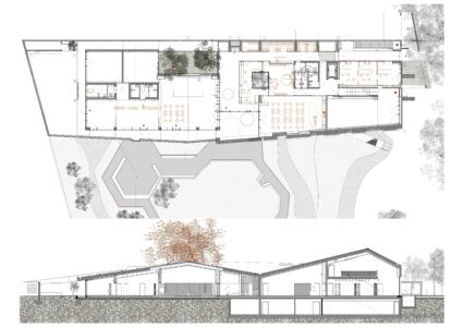 Centro Diurno per Alzheimer a Castelfranco Veneto (Tv): planimetria e sezione