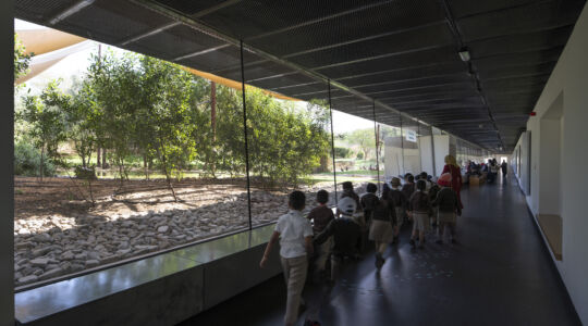 X-Architects, Wasit Wetland Centre, Emirati Arabi Uniti (© Aga Khan Trust for Culture - foto Cemal Emden)
