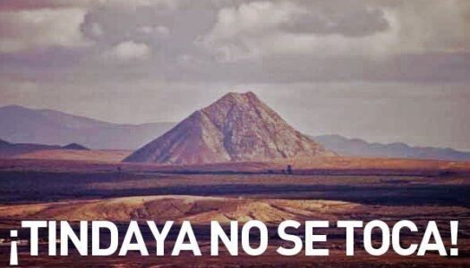 Manifesto degli ecologisti contro il progetto