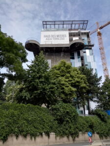 Lato sud (© Flavia Foradini)