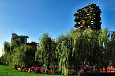 Le morbide fronde di Salix babylonica incorniciano l’area giochi di BAM Milano, creando uno spazio confortevole e inclusivo (foto Federica Cornalba)