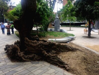 La piazza del Teatro (© Luca Bullaro)