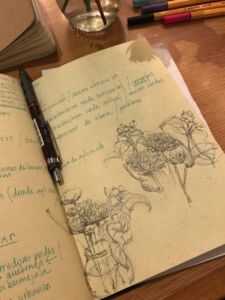 Paula Vallejo. Appunti di studio paesaggistico