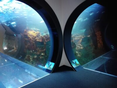 Vasche (© Flavia Foradini)