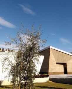 Tra l'auditorium e il blocco dei servizi si apre la corte