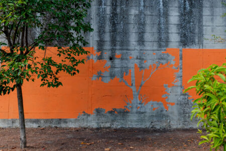 A Stigliano il muro diventa supporto per un insolito Atlante Botanico (foto Paola Primavera)