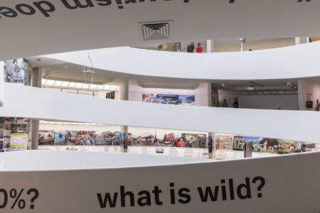 La mostra "Countryside. The future", Solomon R.Guggenheim museum NY, (©Laurian Ghinitoiu, AMO)