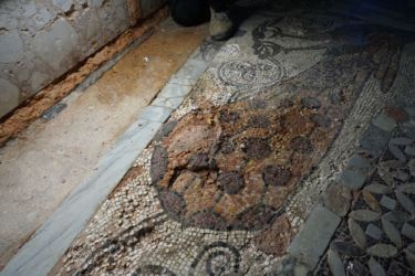 Venezia, Basilica di San Marco. Dettaglio mosaico pavimentale raffigurante un pavone con tessere perdute (© procuratoriasanmarco)