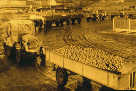 I carichi di patate che venivano portati nell'ex Pfanni (©Werksviertel-Mitte 2020)