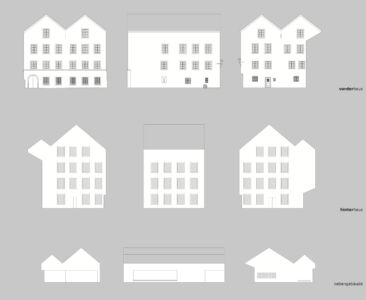 Studio sulla tipologia delle facciate ad opera dello studio Marte.Marte (©Marte.Marte/ZTKammer)