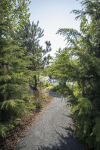 SLA Architects, piazza di Sankt Kjelds e viale Bryggervangen (foto di Mikkel Eye)