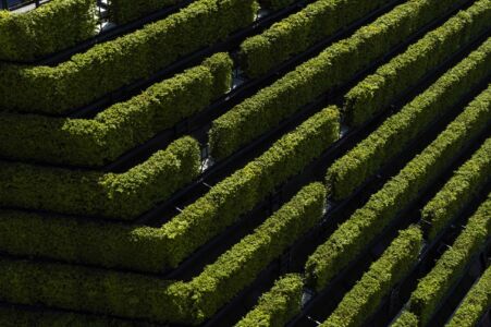 Koebogen 2 (© ingenhoven architects / HGEsch)