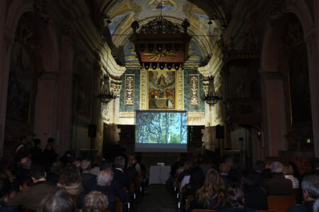 Emiliano Bronzino, "Il pino solitario bosco di memorie", Sommariva del bosco, edizione 2019 (foto Mattia Gaido e Marie Scollo)