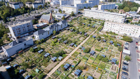 Orti urbani nel quartiere Petits-Bois (© Ville de Versailles / Gilles BOCS)