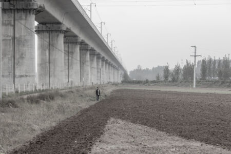 Un uomo osserva i campi, alle sue spalle, la linea ferroviaria ad alta velocità, 2017, Kaifeng, Provincia dello Henan (foto di Samuele Pellecchia)