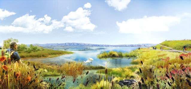 Field Operations, progetto South Bay Sponge, California (www.resilientbayarea.org/south-bay-sponge)