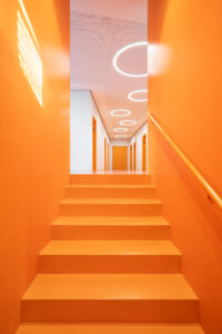 (© Marco Cappelletti)