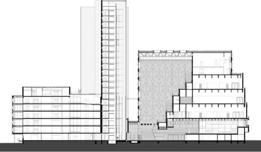 Una delle sezioni del Naturalis Biodiversity Center, progetto di ampliamento di Neutelings Riedijk Architects, 2019 (©Neutelings Riedijk Architects)