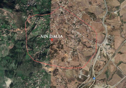 I dintorni di Ain Dalia (©Google Earth, 2020, compiled by Badiaa Hamama)