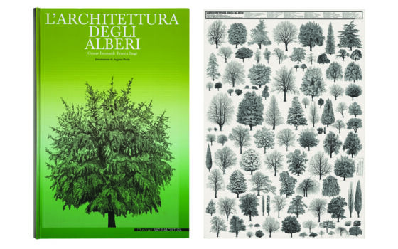 Cesare Leonardi, Franca Stagi, "L’Architettura degli Alberi", copertina del volume edito da Mazzotta nel 1982 e manifesto della mostra di Modena e Reggio Emilia, 1982 (Courtesy Archivio Architetto Cesare Leonardi)