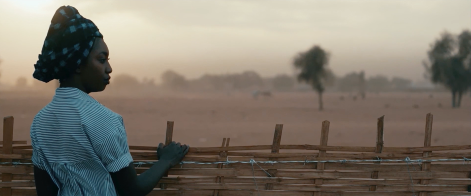 © "The great green wall", docufilm di Jared P. Scott, Seville International e Make Waves Production, 2019