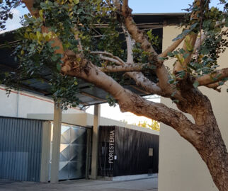 Cantieri Teatrali Koreja (©LucaRuzza)