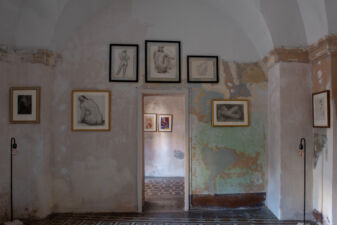 M.A.M.A Family Museum