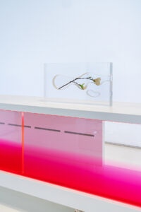 Pianca&Partners_AndreaBranzi_Lanuovastanza_phAndreaMartiradonna