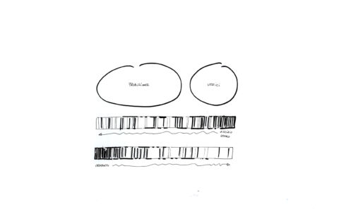 concept facciata su strada (© Open Project)