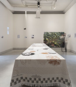 Foundation for Achieving Seamless Territory, "Border Ecologies and the Gaza Strip" (© Fabio Oggero)