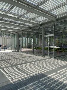 © Arianna Panarella