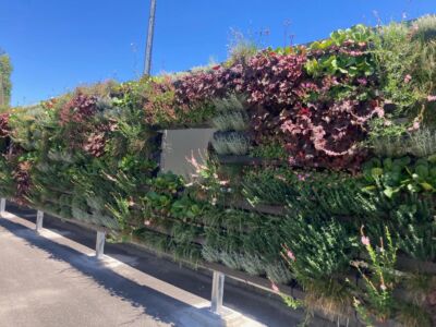 Dormitorio Tazzoli, parete ovest, Torino