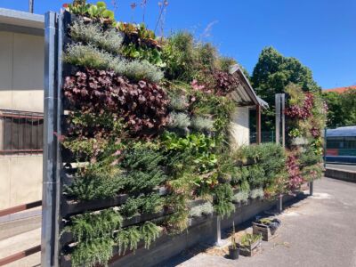 Dormitorio Tazzoli, parete Sud, Torino