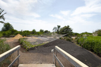 Fleurs, giardini degli inerti (©Archivio AutonomeForme)